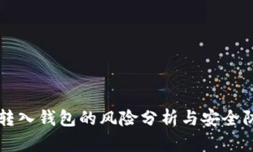 比特币转入钱包的风险分析与安全防护指南