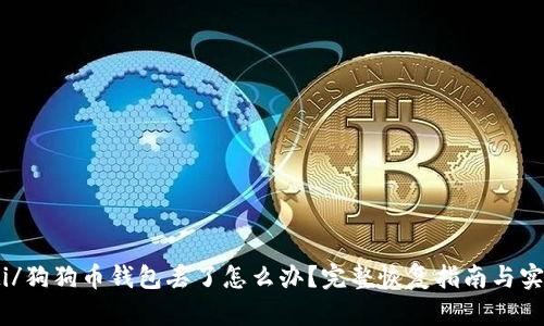 biao ti/狗狗币钱包丢了怎么办？完整恢复指南与实用技巧