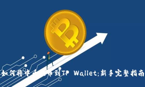 如何将中币提币到TP Wallet：新手完整指南