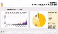 tpWallet下单失败的原因解析