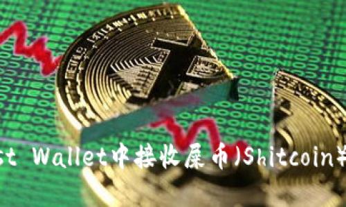 如何在Trust Wallet中接收屎币（Shitcoin）的详细指南