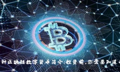 CTG币种区块链数字货币简介：投资前，你需要知道的事情