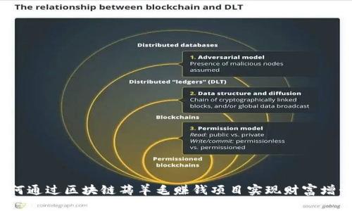 如何通过区块链薅羊毛赚钱项目实现财富增长？