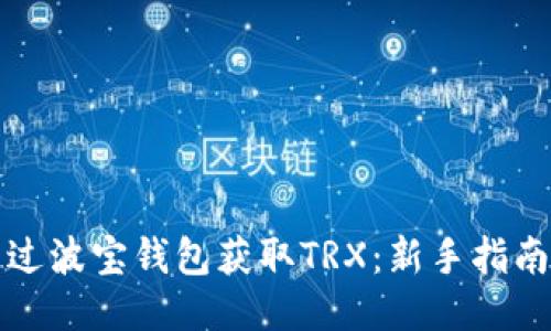 如何通过波宝钱包获取TRX：新手指南与技巧