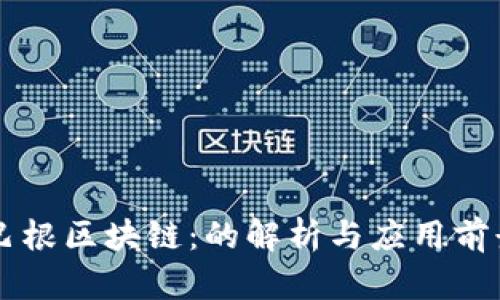 巴根区块链：的解析与应用前景