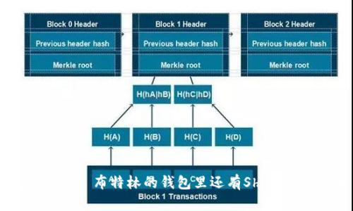 维塔利克·布特林的钱包里还有Shiba Inu吗？