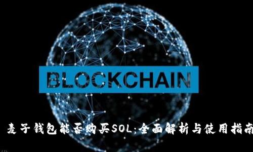  麦子钱包能否购买SOL：全面解析与使用指南