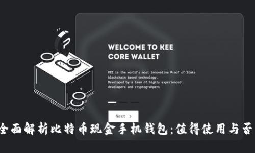 全面解析比特币现金手机钱包：值得使用与否？
