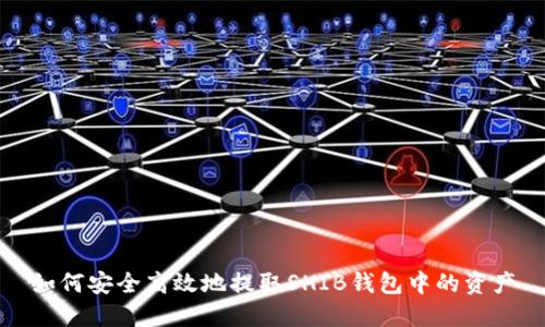 如何安全高效地提取SHIB钱包中的资产