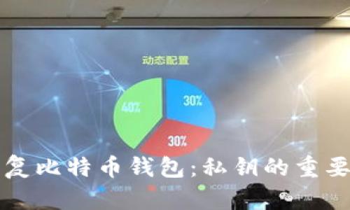 如何安全地恢复比特币钱包：私钥的重要性与操作指南