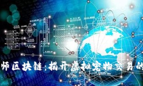 驯龙大师区块链：揭开虚拟宠物交易的新纪元