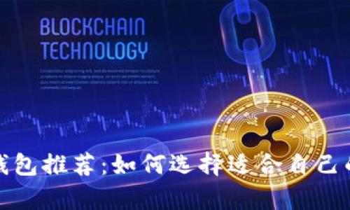 最安全的数字货币钱包推荐：如何选择适合自己的数字资产存储工具