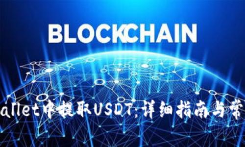 如何在tpWallet中提取USDT：详细指南与常见问题解答