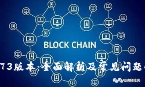 TP钱包173版本：全面解析及常见问题解决指南