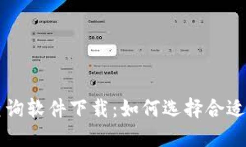 虚拟币钱包地址查询软件下载：如何选择合适的工具与实践指南