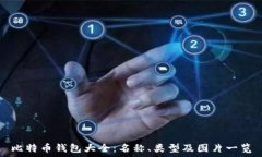  比特币钱包大全：名称、