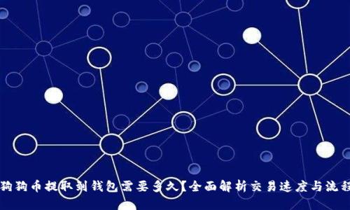 狗狗币提取到钱包需要多久？全面解析交易速度与流程