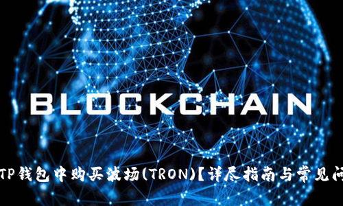 如何在TP钱包中购买波场(TRON)？详尽指南与常见问题解答