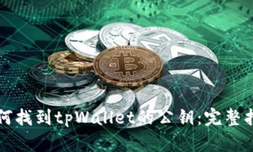 如何找到tpWallet的公钥：完整指南
