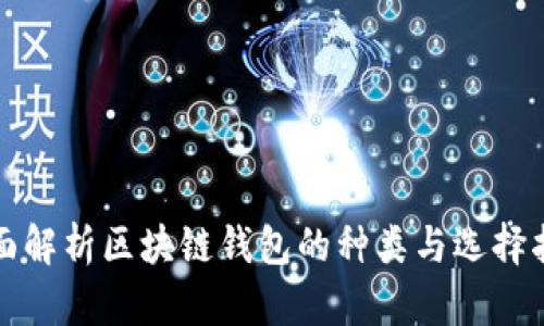 全面解析区块链钱包的种类与选择指南