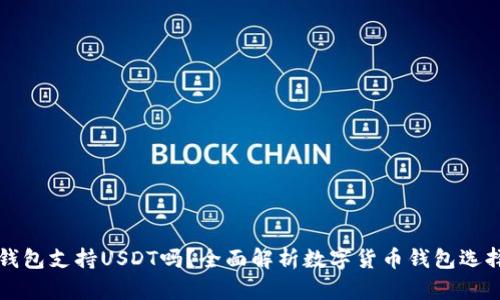 极客钱包支持USDT吗？全面解析数字货币钱包选择标准