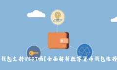 极客钱包支持USDT吗？全面
