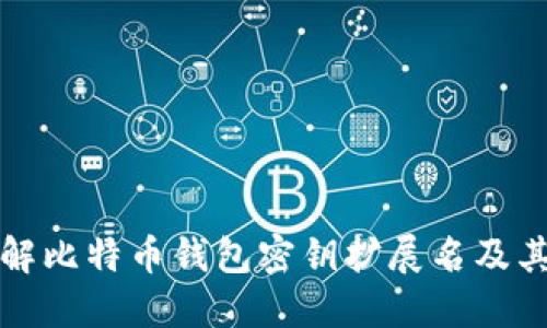 深入了解比特币钱包密钥扩展名及其安全性