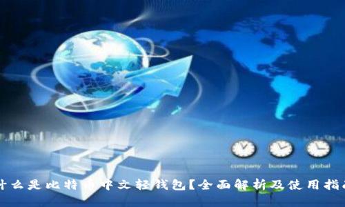 什么是比特币中文轻钱包？全面解析及使用指南