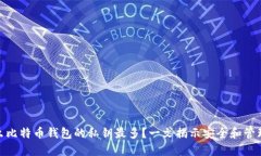: 什么比特币钱包的私钥最
