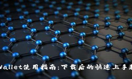 tpWallet使用指南：下载后的快速上手教程