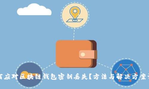 如何应对区块链钱包密钥丢失？方法与解决方案详解