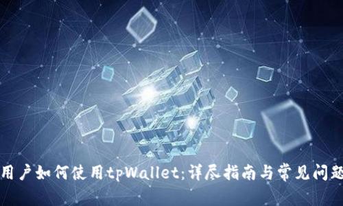 大陆用户如何使用tpWallet：详尽指南与常见问题解答
