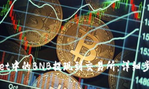 如何将tpWallet中的BNB提现到交易所：详细步骤与注意事项