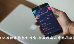 如何使用数字钱包支付宝