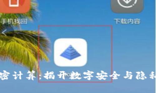 区块链加密计算：揭开数字安全与隐私的新篇章