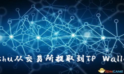 : 如何将Kishu从交易所提取到TP Wallet：详细指南