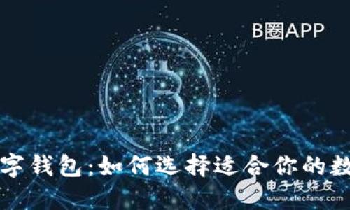 市面上的数字钱包：如何选择适合你的数字支付工具