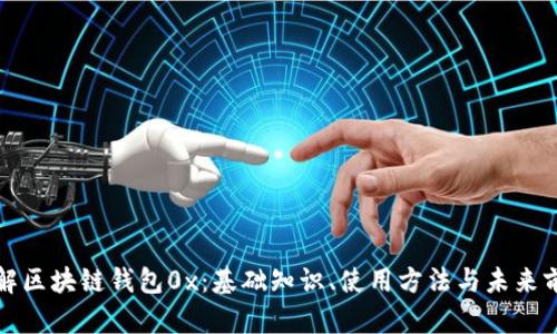 理解区块链钱包0x：基础知识、使用方法与未来前景