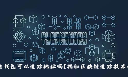 区块链钱包可以追踪地址吗？揭秘区块链追踪技术的真相