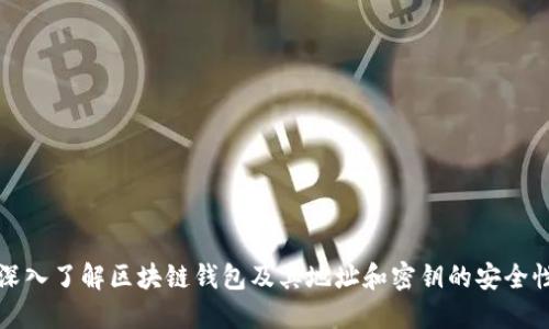 深入了解区块链钱包及其地址和密钥的安全性