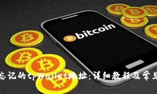 如何找回忘记的tpWallet地址：详细教程及常见问题解答