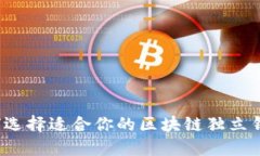 如何选择适合你的区块链