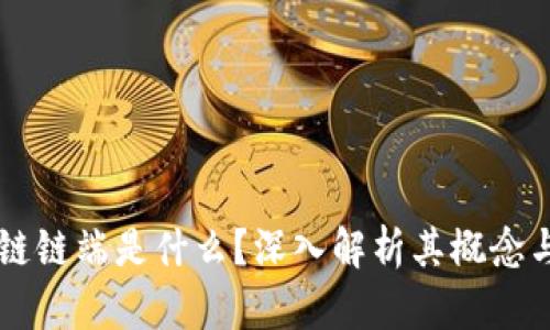 区块链链端是什么？深入解析其概念与应用
