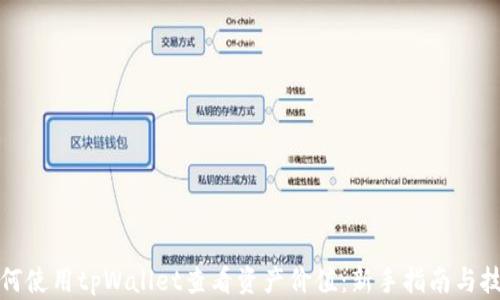 
如何使用tpWallet查看资产价值：新手指南与技巧