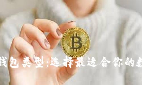 深入了解比特币钱包类型：选择最适合你的数字资产存储方案