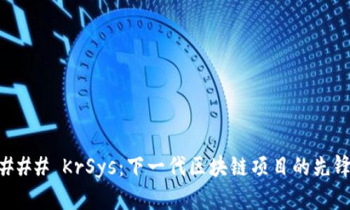 ### KrSys：下一代区块链项目的先锋