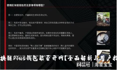 区块链Plus钱包能否开网？全面解析与用户指南