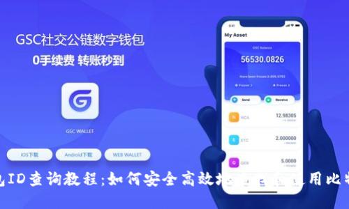 比特币钱包ID查询教程：如何安全高效地查找和使用比特币钱包ID