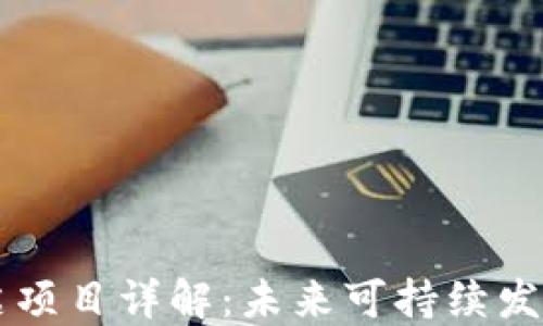 
区块链清洁项目详解：未来可持续发展的新动力