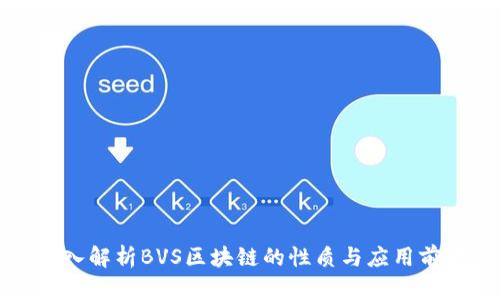 深入解析BVS区块链的性质与应用前景